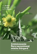 Książka : Zróżnicowa... - Anna Bordiuk, Andrzej Łysko, Agnieszka Popiela