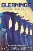 Polnische buch : Gleanings - Neal Shusterman