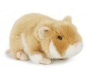 Chomik 18c... -  polnische Bücher