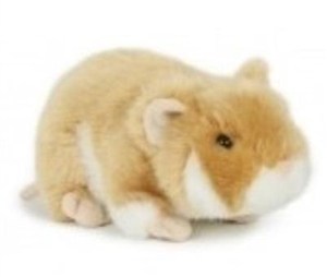 Bild von Chomik 18cm