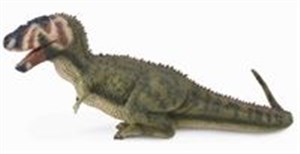 Bild von Dinozaur Daspletosaurus L