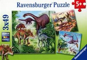 Obrazek Puzzle Dinozaury 3x49