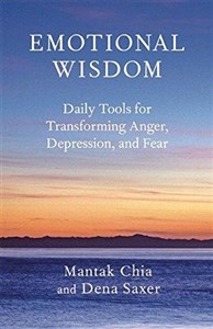 Obrazek Emotional Wisdom: Daily Tools for Transforming Anger, Depression, and Fear