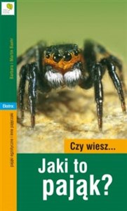 Obrazek Czy wiesz… Jaki to pająk? Pająki egzotyczne i inne pajęczaki