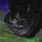 Zeige Details für Notes Kot Ekologiczny Polnische buch : Notes Kot ...