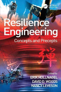 Bild von WOODS, D: RESILIENCE ENGINEERING