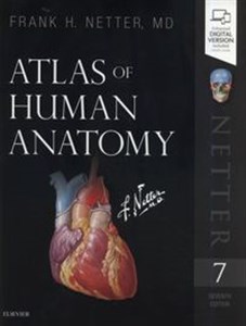 Bild von Atlas of Human Anatomy 7th Edition
