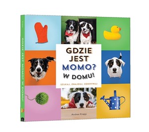 Obrazek Gdzie jest Momo? W domu!