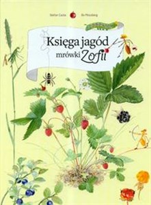 Bild von Księga jagód mrówki Zofii