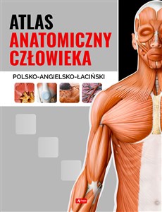Bild von Atlas anatomiczny człowieka polsko - angielsko - łaciński