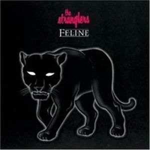 Bild von Feline