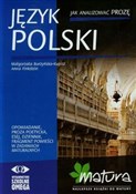 Język pols... - Małgorzata Burzyńska-Kupisz, Anna Finkstein -  polnische Bücher