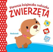 Książka : Pierwsza k... - Opracowanie Zbiorowe