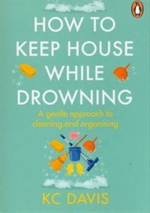 Bild von How to Keep House While Drowning A gentle approach to cleaning and organising