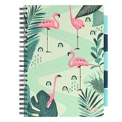 Zobacz : Kołozeszyt...