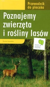 Obrazek Poznajemy zwierzęta i rośliny lasów