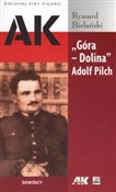 Zobacz : Góra Dolin... - Ryszard Bielański