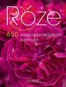 Róże 650 n... - Opracowanie Zbiorowe - Ksiegarnia w niemczech