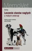 Leczenie s... - Christian F. Schrey -  polnische Bücher
