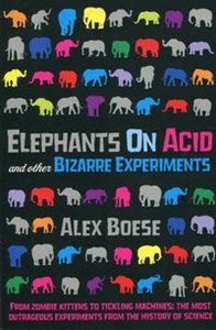 Bild von Elephants on Acid