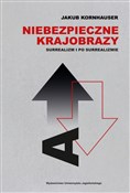 Polska książka : Niebezpiec... - Jakub Kornhauser