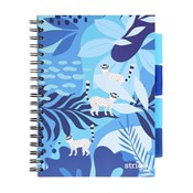 Kołozeszyt... -  fremdsprachige bücher polnisch 