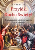 Polska książka : Przyjdź, D... - Olivier Belleil