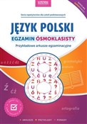 Książka : Język pols... - Mariola Rokicka, Sylwia Stolarczyk