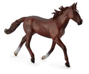 Obrazek Koń rasy Kusak amerykański maści kasztan XL