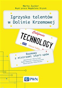 Obrazek Igrzyska talentów w Dolinie Krzemowej Rozmowy z mistrzami start-upów