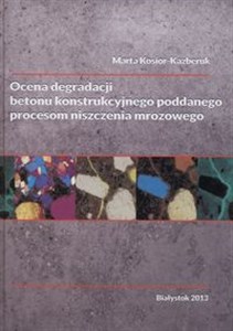 Obrazek Ocena degradacji betonu konstrukcyjnego poddanego procesom niszczenia mrozowego