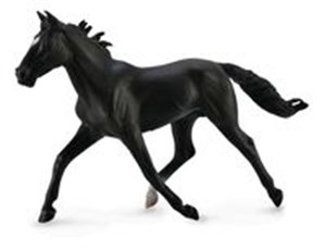 Obrazek Koń rasy klusak amerykański maści czarnej XL