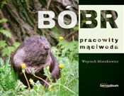 Książka : Bóbr praco... - Wojciech  Misiukiewicz