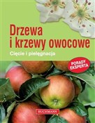 Książka : Drzewa i k... - Herbert Bischof