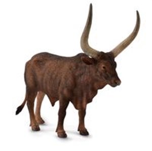 Bild von Byk Ankole-Watusi