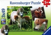 Puzzle Prz... -  polnische Bücher