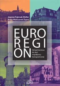 Obrazek Euroregion Od partnerstwa do sieci współpracy transgranicznej