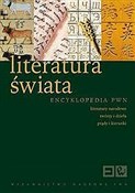 Literatura... - buch auf polnisch 