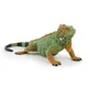 Obrazek Iguana