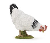 Kura biała... -  Polnische Buchandlung 