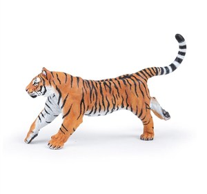 Bild von Tygrys biegnący