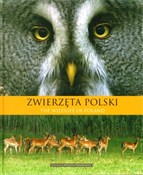 Zwierzęta ... - Marzanna Nowakowska - Ksiegarnia w niemczech
