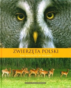 Bild von Zwierzęta Polski The wildlife of Poland