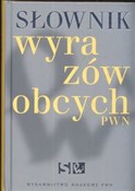 Polska książka : Słownik wy...