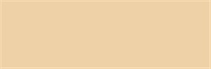 Obrazek Brystol kolorowy Happy Color 170g A4 25 arkuszy chamois