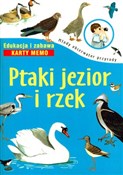 Polnische buch : Ptaki jezi... - Michał Brodacki