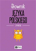 Polnische buch : Słownik ję... - Lidia Drabik