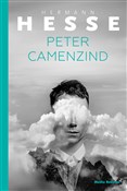 Książka : Peter Came... - Hermann Hesse