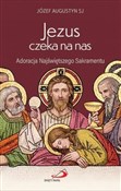Jezus czek... - Piotr Wołochowicz -  polnische Bücher