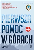 Polska książka : Pierwsza p... - Andrzej Górka, Łukasz Migiel, Maciej Mikiewicz, Przemysław Gancarczyk, Adam Ubych